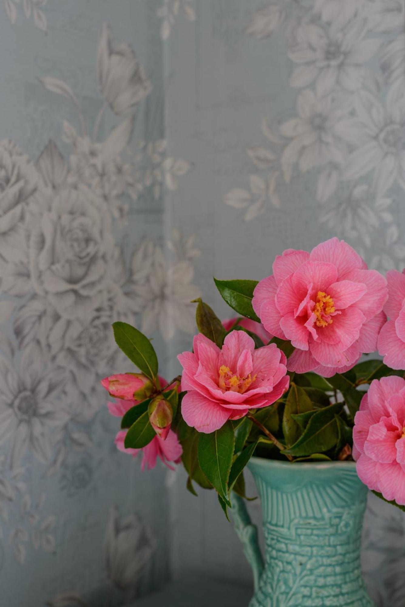 Grove Fort Self Catering Farmhouse Finnis Buitenkant foto